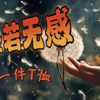 隐叔出品-做的不错，蝉翼透气-鸟版速干T恤