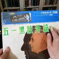 五一唱片开箱！平均30元一张的黑胶，一次买了十张。