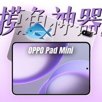 客串员工爽摸的一周，OPPO Pad Mini之天选打工人