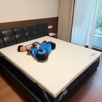 同是梦百合快充床垫选哪个？