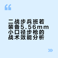 5.56口徑的半威力彈步槍放到一戰/二戰使用效果如何?