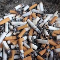 空气净化器除烟味哪个好?除烟味空气净化器推荐买哪一款?DAGX、拾梧、美的等除烟空气净化器深度测评,告诉你答案哪款除烟味空气净化器更值得买!