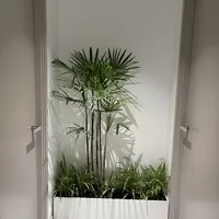 室内花池
