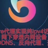 仅IPv6公网也能外网访问！Cloudflare+LuckyDDNS/反代/SSL教程