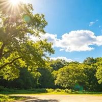 今夏真有那么热？科学看懂高温预报