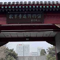 北京鲁迅博物馆，藏在胡同里的宝藏遛娃地