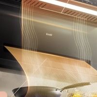 吸油烟机哪个品牌好？万和双吸力油烟机「轻奢金山」L30M6闭眼入