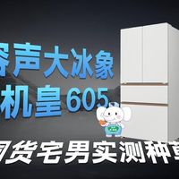 【囤货必看】容声大冰象机皇605/美的熊墩墩Pro600/海尔-麦浪511，大容量囤货冰箱怎么选？