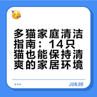 如果我不说，你能看出我家养了14只猫咪吗？