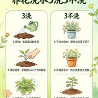 养花别再瞎浇水！牢记“3浇3不浇”，绿植根壮叶旺，养一盆活一盆