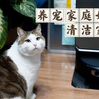15年猫奴生涯，聊聊养宠家庭该如何选择清洁类电器