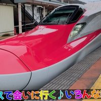77美元新干线票实为限时促销，普通游客已无法购买
