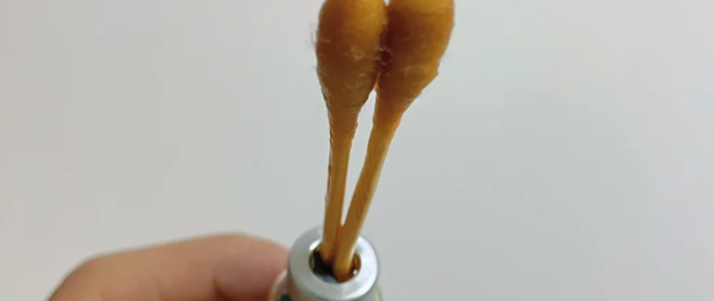 被网友的“防蚊大法”惊艳了，打开思路后，蚊子根本咬不到