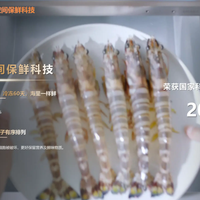 冰箱保鲜技术哪个好：技术原理与实战效果深度解析