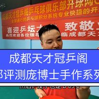 成都天才冠乒阁俱乐部评测庞博士手作系列底板