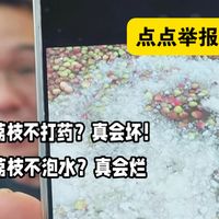 大漠叔叔：荔枝宣传“不泡水不打药？”点点举报！