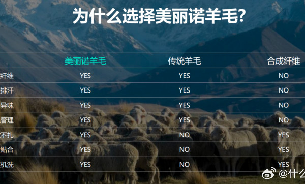 2026 亲测 icebreaker 美丽诺羊毛：不扎肤可机洗，通勤户外一件搞定作为常年在通勤和户外之间切换的打工人，我对贴身服饰的要求一直很苛刻：夏天不能闷汗黏身，冬天不能扎肤臃肿，最好还能机洗不用