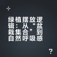 绿植这样摆🌱家里更有呼吸感
