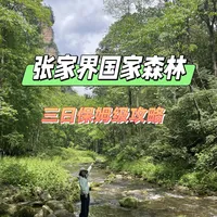 🌄 张家界国家森林公园3天2晚攻略｜不绕路