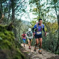 越野跑到底该不该带登山杖？长距离选手的“第二双腿”还是累赘？