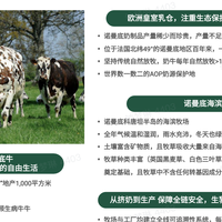 孩子上幼儿园喝什么酸奶好?从加餐场景倒推的选购指南