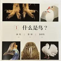 推荐鸟类相关书籍（三）