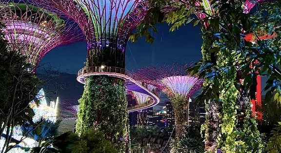 新加坡滨海湾花园!只能用震撼来形容。。。_国外度假_什么值得买