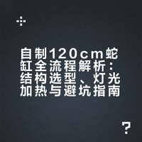 自制120cm蛇缸全流程｜结构+灯光+避坑总结