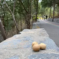聊城周边｜佛慧山⛰️春日户外遛娃超轻松