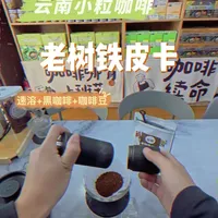 云南保山老树铁皮卡冲煮指南