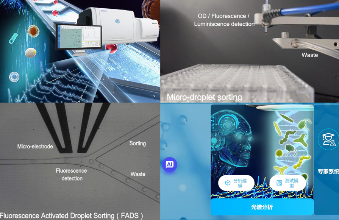 洗牌在即，益生菌打响菌种自主战，中粮菌“国家队”强势入局！丨“新”发现
