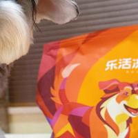 麦富迪乐活冻干狗粮品质如何？馋死小狗了
