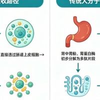 白蛋白成分纯净怎么选？优质原料长期食用， 无添加健康配方挑
