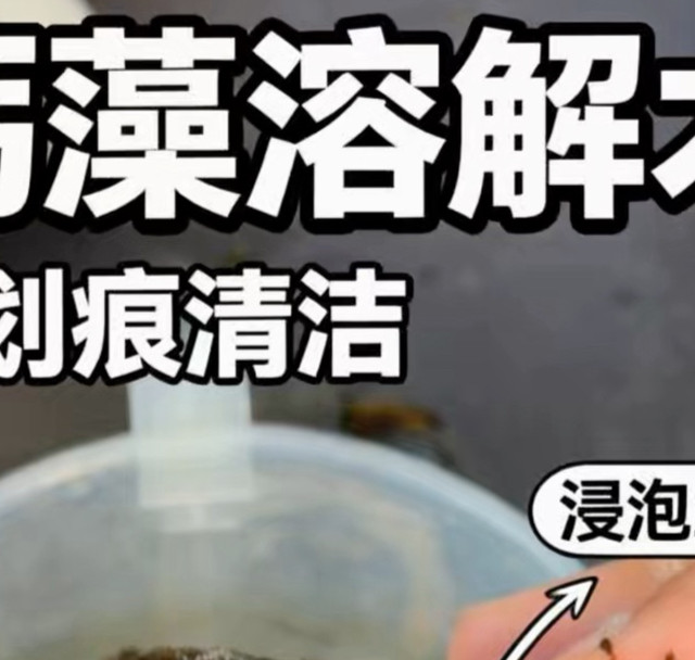 海缸造浪被钙藻跟绿球藻堵住了，看我几滴洁厕灵，轻松完成清洁工作