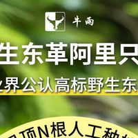 东革阿里买哪个牌子的靠谱？牛雨东革阿里标杆品质口碑出圈