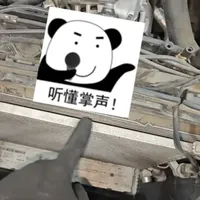 汽车防虫网真的有用吗？维修师傅揭秘散热隐患