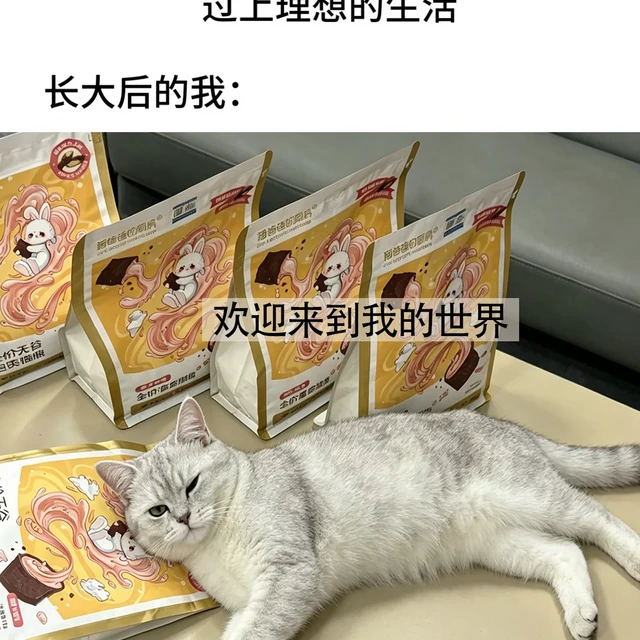 从进口猫粮吃到国产之后被打脸了