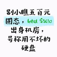 别小瞧五百元固态，Intel S3610出身机房，号称用不坏的硬盘