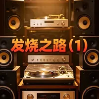 从闲置笔记本到HiFi系统：一套低成本入门方案的全套升级路径