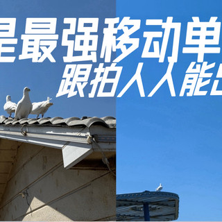 手机也能当单反｜iPhone实战手把手教你出片