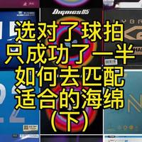 乒乓球拍与胶皮搭配逻辑：软硬互补与打法适配