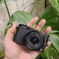松下2026年推LUMIX DC-L10，重返M4/3轻便日常市场