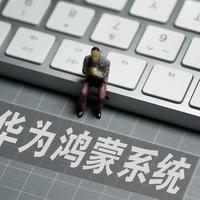 荣耀鸿蒙应用扎堆上架！要和华为 “复婚” 了？