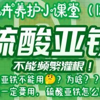 硫酸亚铁/养花补铁