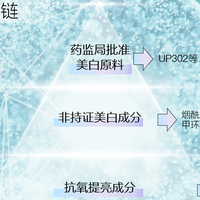2026年干皮美白精华横评：从水润肤感到全通路美白的清单