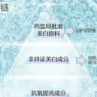 2026年抗老美白精华横评：从成分到数据的高效选择