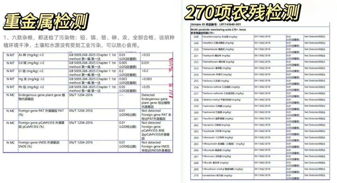 这类超抗饿的主食,真心劝你吃点