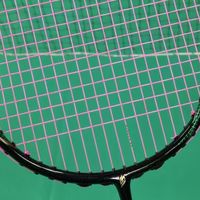预算500元以内，新手必入的全能羽毛球拍——霜降青蛇Pro深度解析