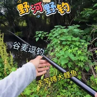 汉鼎一号七代野钓实战：谷麦逗钓获近2斤鲤鱼