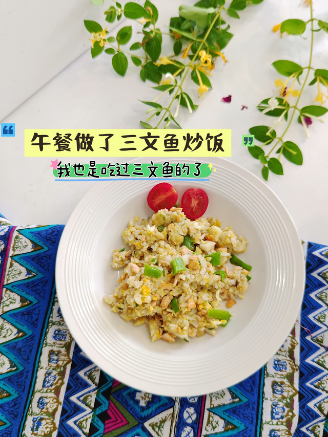 三文鱼丁给猫咪吃? 我做了炒饭！我第一次吃三文鱼……